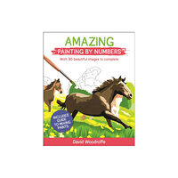 Arcturus publishing ltd Amazing Painting by Numbers (häftad, eng)