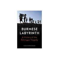 Verso Books The Burmese Labyrinth (inbunden, eng)