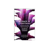 Bloomsbury Publishing PLC A Crack in Everything (inbunden, eng)