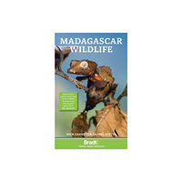 Bradt Travel Guides Madagascar Wildlife (häftad, eng)