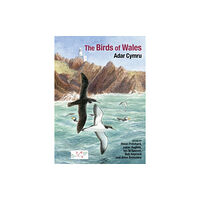 Liverpool University Press The Birds of Wales (inbunden, eng)