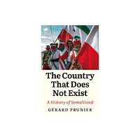 C hurst & co publishers ltd The Country That Does Not Exist (inbunden, eng)