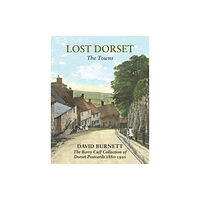 The Dovecote Press Lost Dorset (inbunden, eng)