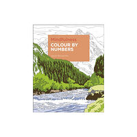 Arcturus publishing ltd Mindfulness Colour by Numbers (häftad, eng)