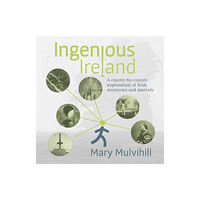 Four Courts Press Ltd Ingenious Ireland (häftad, eng)