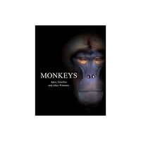 Amber Books Ltd Monkeys (inbunden, eng)