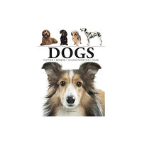 Amber Books Ltd Dogs (häftad, eng)