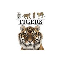 Amber Books Ltd Tigers (häftad, eng)