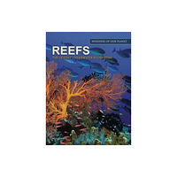 Amber Books Ltd Reefs (inbunden, eng)