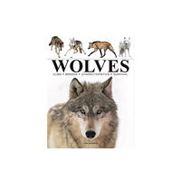 Amber Books Ltd Wolves (häftad, eng)