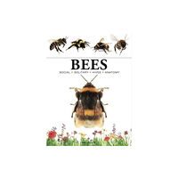 Amber Books Ltd Bees (häftad, eng)