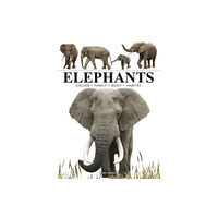 Amber Books Ltd Elephants (häftad, eng)