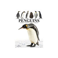 Amber Books Ltd Penguins (häftad, eng)