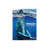 Amber Books Ltd Whales & Dolphins (inbunden, eng)