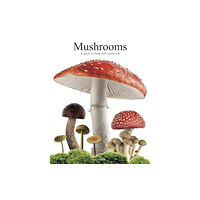 Amber Books Ltd Mushrooms (häftad, eng)