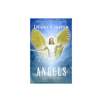 Inner Traditions Bear and Company A New Light on Angels (häftad, eng)
