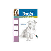 Search Press Ltd How to Draw: Dogs (häftad, eng)