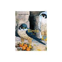 Tate Publishing Birds in Art (inbunden, eng)