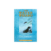 Gill The Water Wizard (häftad, eng)