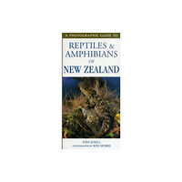 Upstart Press Ltd Photographic Guide To Reptiles & Amphibians Of New Zealand (häftad, eng)