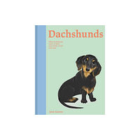 Batsford Ltd Dachshunds (inbunden, eng)