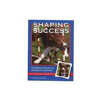 Clean Run Productions, LLC Shaping Success (häftad, eng)