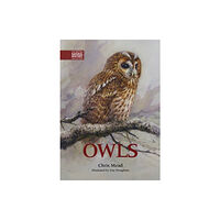 Whittet Books Ltd Owls (inbunden, eng)