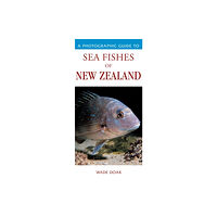 Upstart Press Ltd Photographic Guide To Sea Fishes Of New Zealand (häftad, eng)