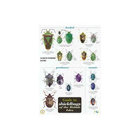 Field Studies Council Guide to Shieldbugs of the British Isles (häftad, eng)