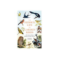 Octopus publishing group The Hidden Life of Garden Birds (inbunden, eng)