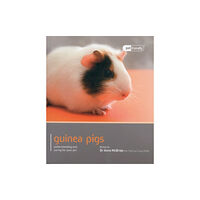 Magnet & Steel Publishing Ltd Guinea Pig - Pet Friendly (häftad, eng)