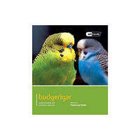 Magnet & Steel Publishing Ltd Budgeriegars - Pet Friendly (häftad, eng)