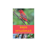 John Beaufoy Publishing Ltd A Naturalist's Guide to the Birds of Myanmar (häftad, eng)