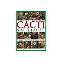 Anness publishing Practical Illustrated Guide to Growing Cacti & Succulents (inbunden, eng)