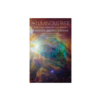 Canterbury Press Norwich The Luminous Web (häftad, eng)