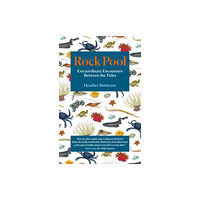 September Publishing Rock Pool (häftad, eng)