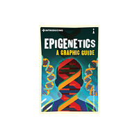 Icon Books Introducing Epigenetics (häftad, eng)