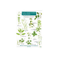 Field Studies Council Guide to Ancient Woodland Indicator Plants (häftad, eng)