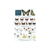 Field Studies Council Guide to the butterflies of Britain and Ireland (häftad, eng)