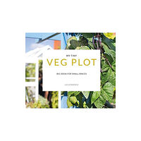 HarperCollins Publishers My Tiny Veg Plot (häftad, eng)