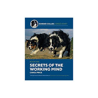 Corpus Publishing Limited Secrets Of The Working Mind (häftad, eng)