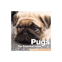 BX Plans Ltd Pugs (häftad, eng)