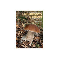 John Beaufoy Publishing Ltd An Identification Guide to Mushrooms of Britain and Northern Europe (2nd edition) (häftad, eng)