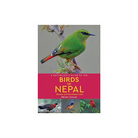 John Beaufoy Publishing Ltd A Naturalist's Guide to the Birds of Nepal (häftad, eng)