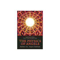 Monkfish Book Publishing Company Physics of Angels (häftad, eng)