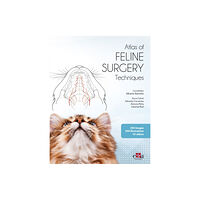 Edra Publishing US LLC Feline surgery (inbunden, eng)