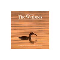 Unity Print and Publishing Ltd Wild about The Wetlands (inbunden, eng)