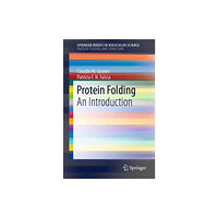 Springer International Publishing AG Protein Folding (häftad, eng)