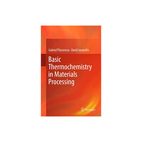 Springer International Publishing AG Basic Thermochemistry in Materials Processing (inbunden, eng)