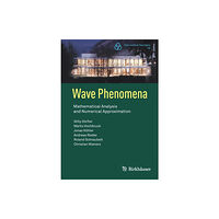 Birkhauser Verlag AG Wave Phenomena (häftad, eng)